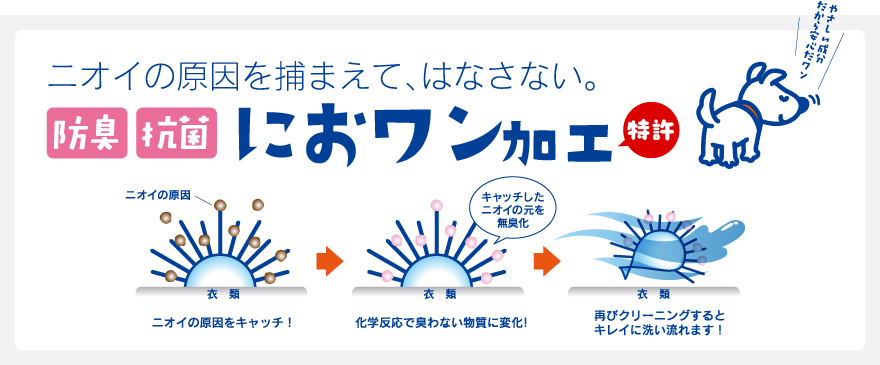 option-image5