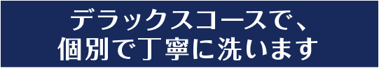 デラックスコースで、個別で丁寧に洗います